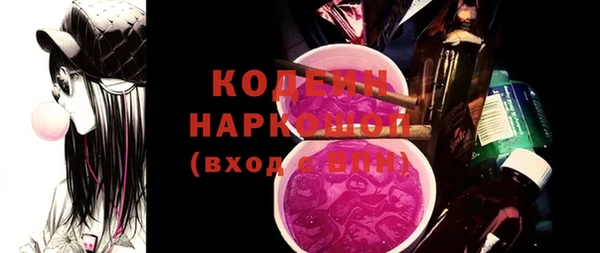 молекула духа Киреевск