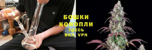 молекула духа Киреевск