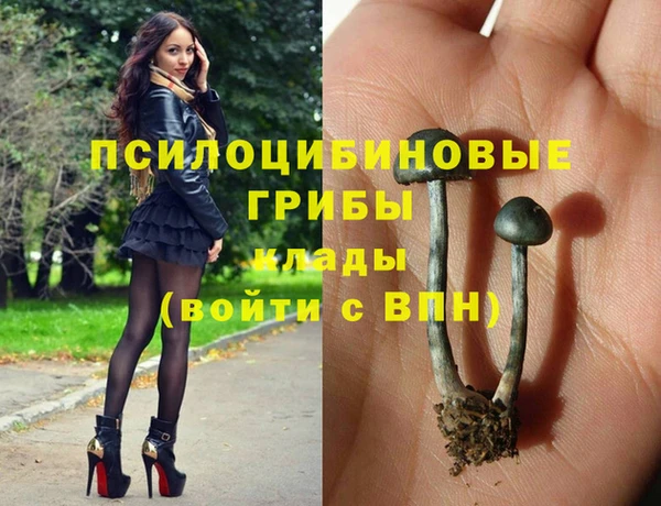 трава Кинешма
