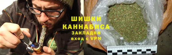 молекула духа Киреевск